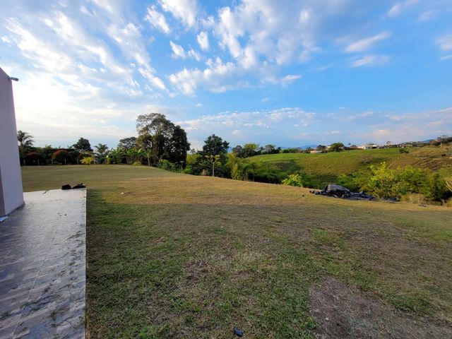 place photo 44