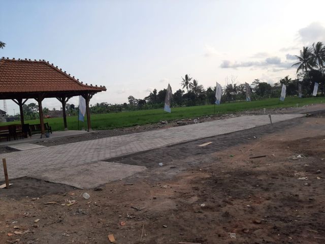 place photo 4