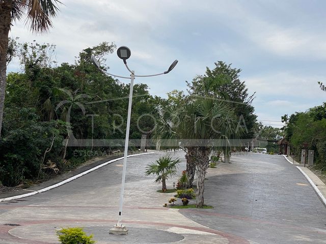 place photo 21