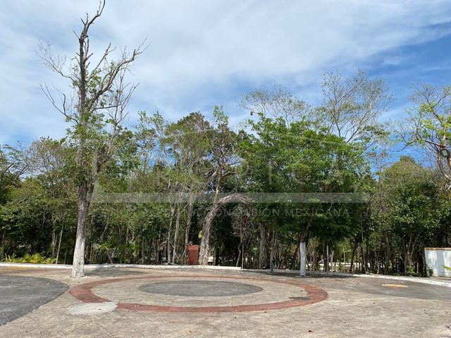 place photo 23