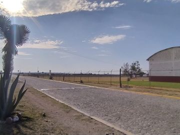 place photo 11