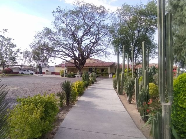 place photo 16