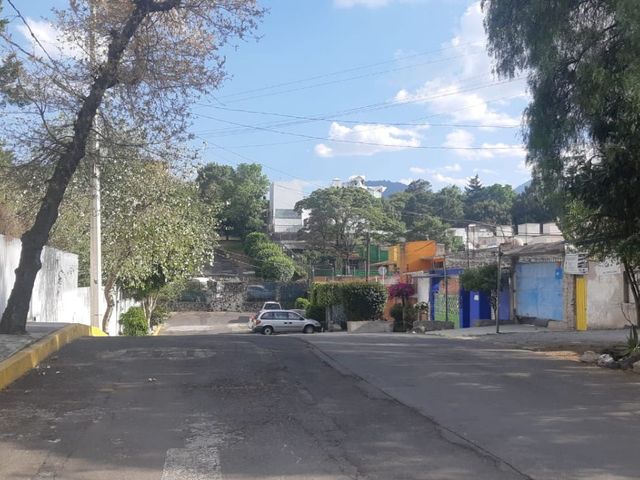 place photo 18