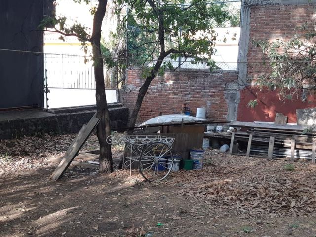 place photo 13