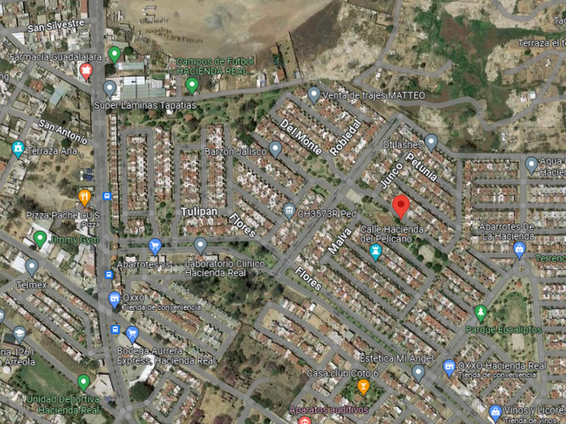 place photo 9