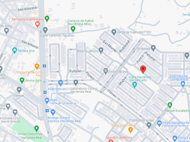 place photo 10