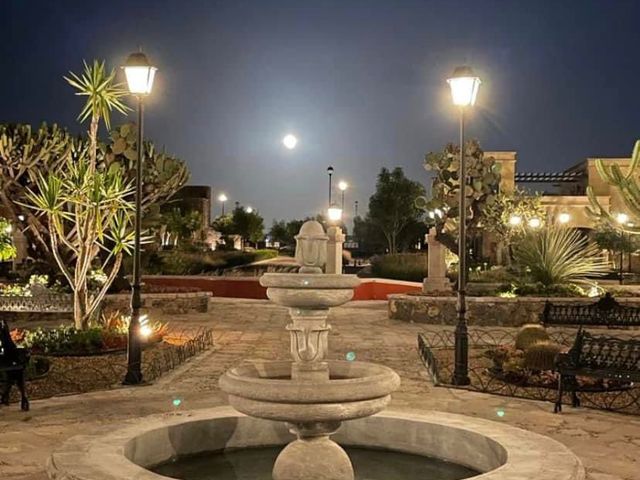 place photo 13