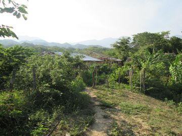 place photo 34