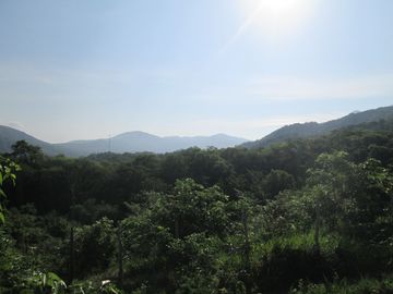 place photo 33