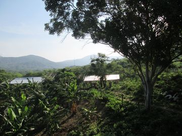 place photo 32