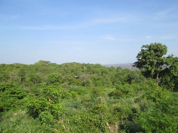 place photo 35