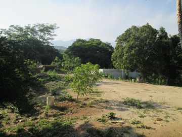 place photo 38