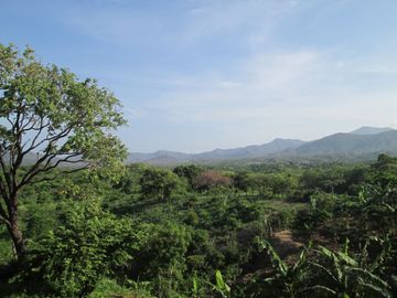 place photo 25