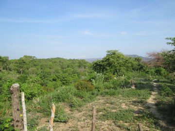 place photo 36
