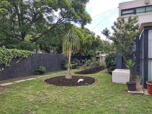 place photo 23