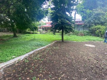 place photo 33