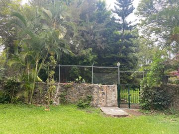 place photo 29