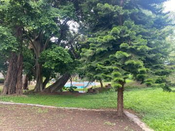 place photo 28