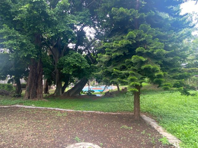 place photo 31