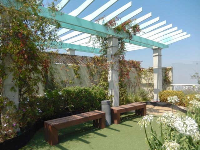 place photo 24