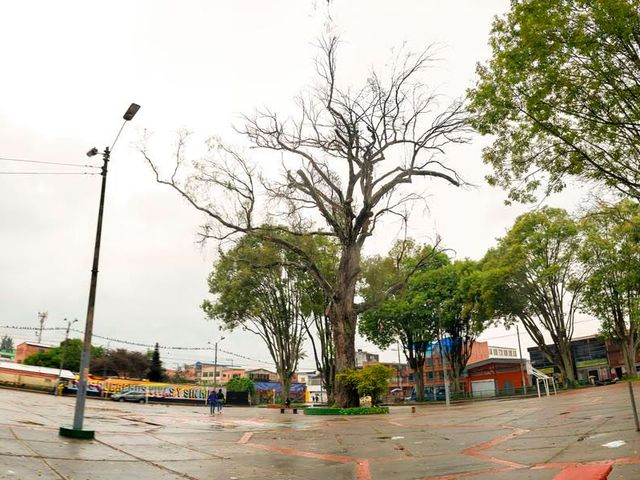 place photo 23