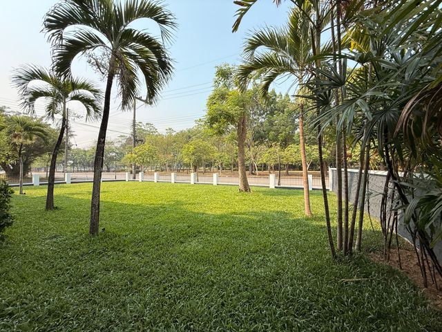 place photo 45