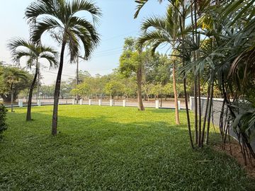 place photo 45