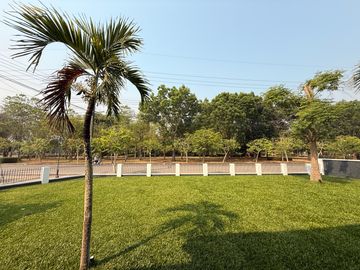 place photo 46