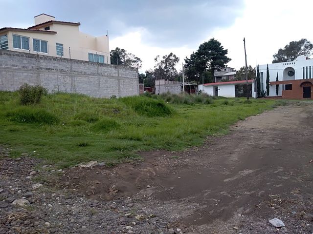 place photo 29