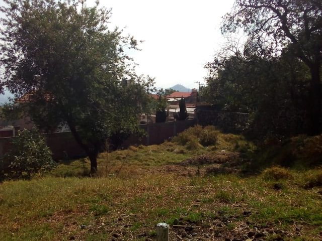 place photo 30