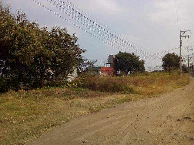 place photo 28