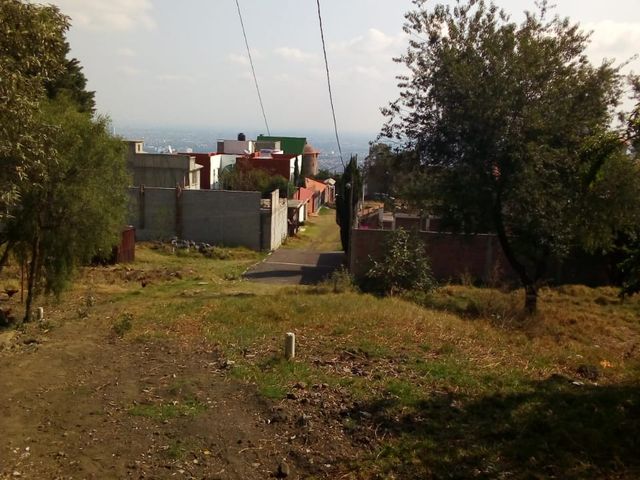 place photo 27