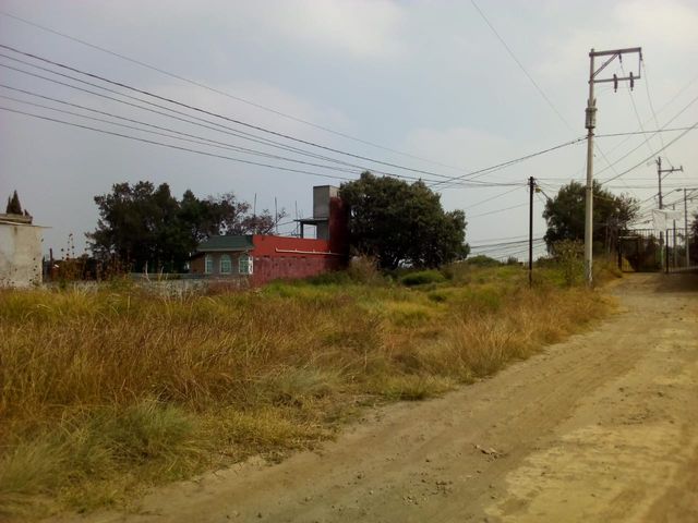 place photo 25