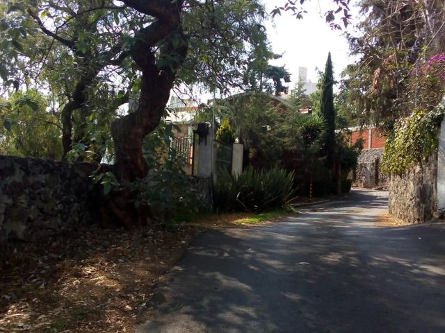 place photo 23