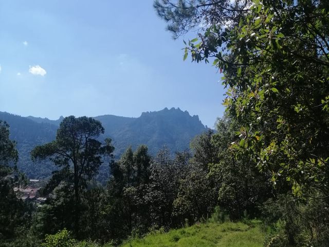 place photo 18