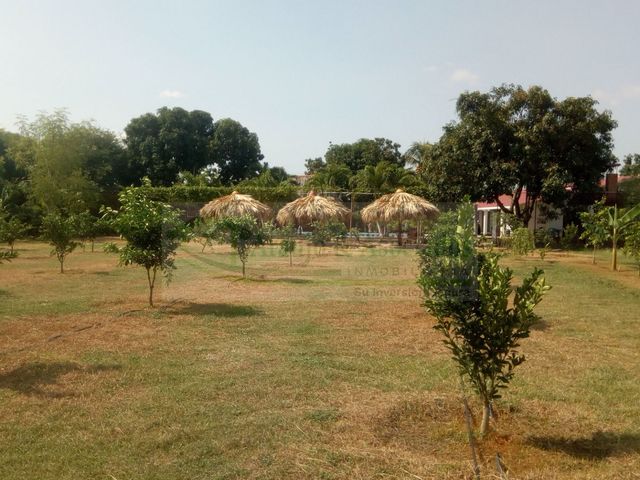 place photo 22