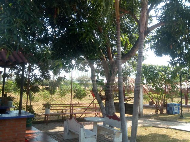 place photo 13
