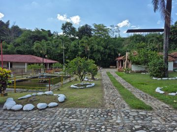 place photo 23