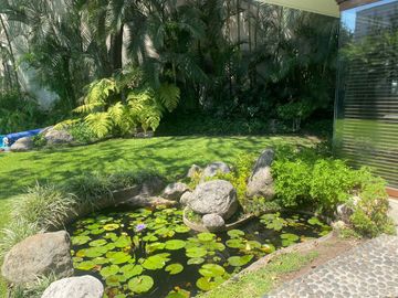 place photo 32