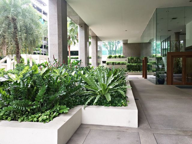 place photo 46