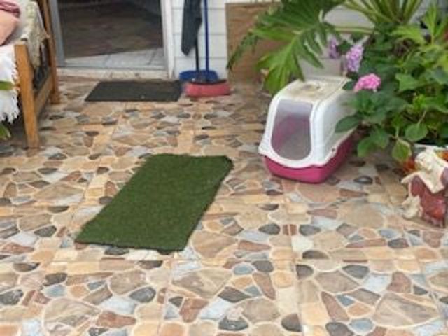 place photo 25
