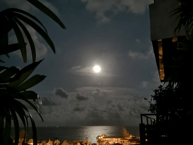 place photo 51