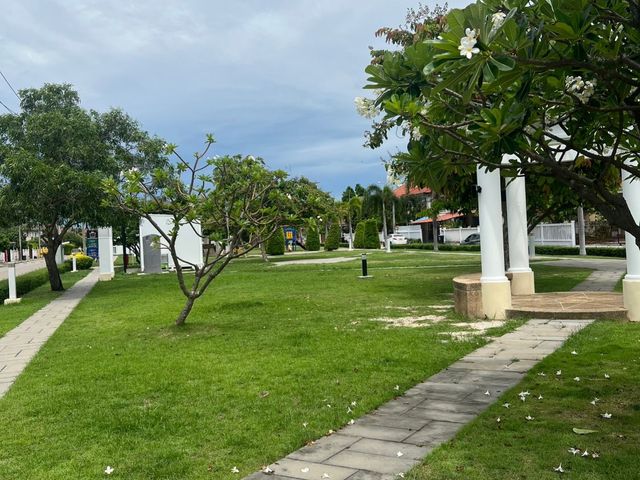 place photo 25