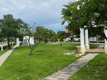 place photo 25