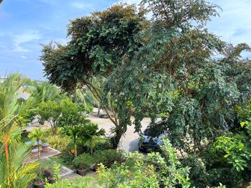 place photo 53