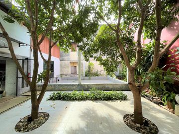 place photo 48