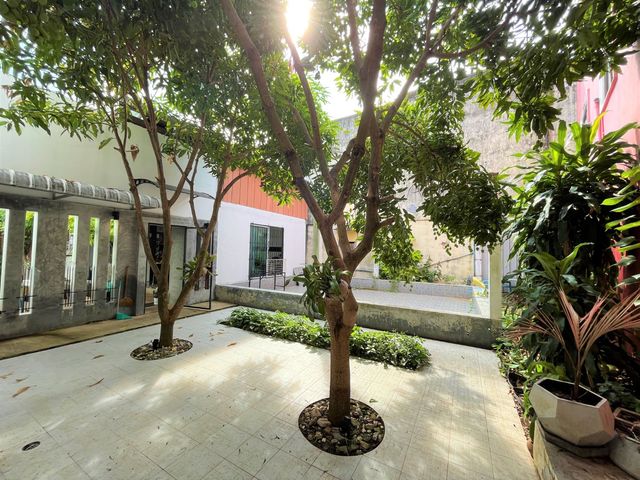 place photo 49