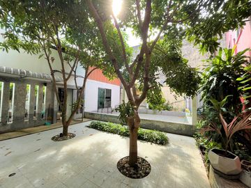 place photo 49