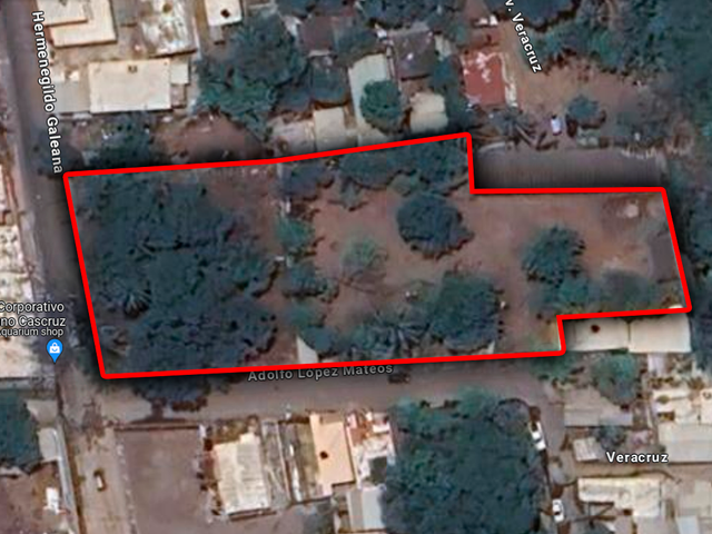 place photo 1