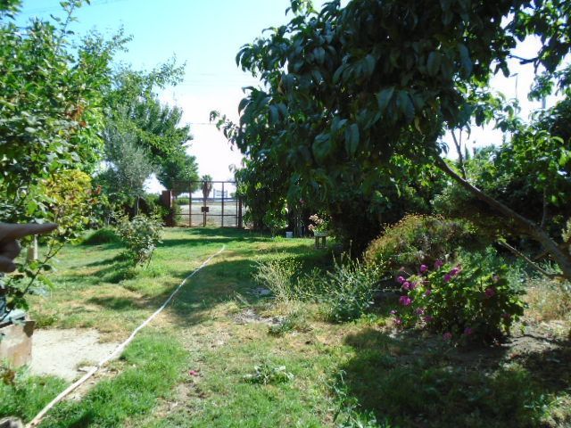 place photo 13